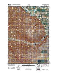 2011 Map of Moores Hollow, 2011 Print