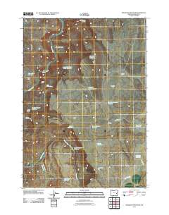 2011 Map of Mosquito Mountain, 2011 Print