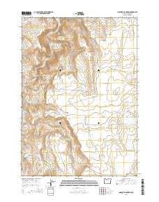 2014 Map of Mosquito Mountain, 2014 Print