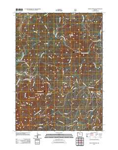 2011 Map of Mount Bolivar, 2011 Print