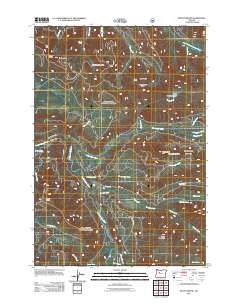 2011 Map of Mount Bruno, 2011 Print