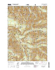 2014 Map of Mount Bruno, 2014 Print