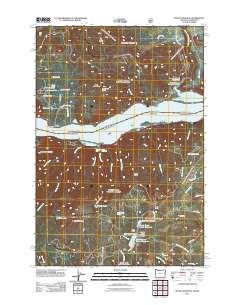2011 Map of Mount Defiance, 2011 Print