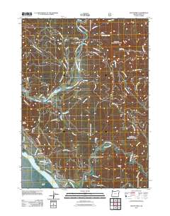 2011 Map of Mount Emily, 2011 Print