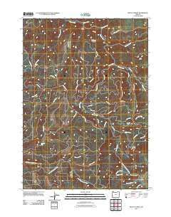 2011 Map of Mount Gurney, 2011 Print
