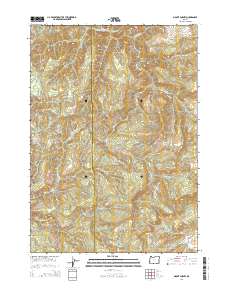 2014 Map of Mount Gurney, 2014 Print