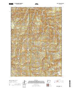2020 Map of Mount Gurney, 2020 Print