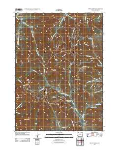 2011 Map of Mount Isabelle, 2011 Print