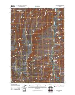 2011 Map of Mount Misery, 2011 Print