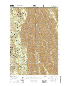 2014 Map of Mount Moriah, 2014 Print