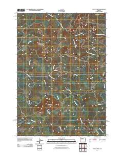2011 Map of Mount Nebo, 2011 Print