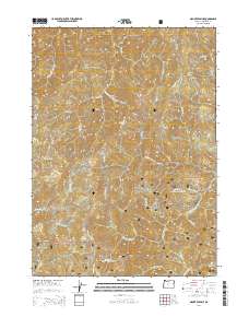 2014 Map of Mount Peavine, 2014 Print