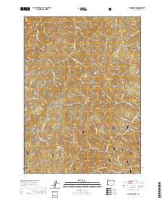 2020 Map of Mount Peavine, 2020 Print
