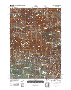 2011 Map of Mount Pisgah, 2011 Print