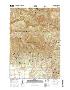 2014 Map of Mount Pisgah, 2014 Print