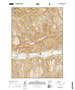 2020 Map of Mount Vernon, 2020 Print