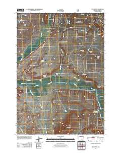 2011 Map of Mud Spring, 2011 Print