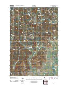 2011 Map of Muddy Valley, 2011 Print