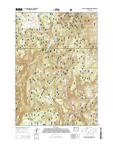 2014 Map of Myrtle Park Meadows, 2014 Print