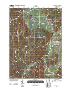 2011 Map of Myrtle Point, 2011 Print