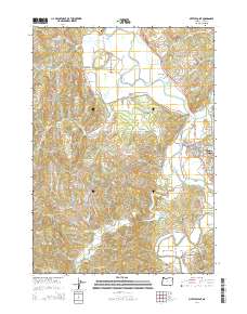 2014 Map of Myrtle Point, 2014 Print