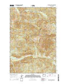 2014 Map of Necanicum Junction, 2014 Print