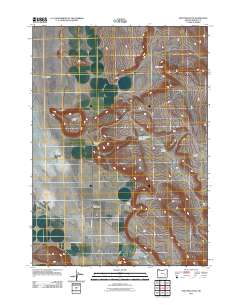 2011 Map of New Princeton, 2011 Print