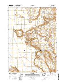 2014 Map of New Princeton, 2014 Print