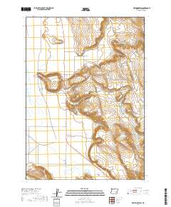 2020 Map of New Princeton, 2020 Print