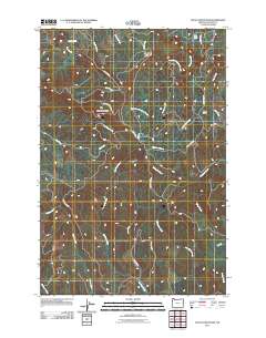 2011 Map of Nicolai Mountain, 2011 Print