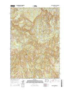 Thumbnail JPG image of map