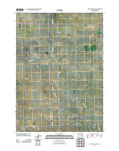 2011 Map of Ninemile Slough, 2011 Print