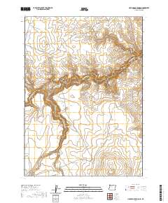 2020 Map of No Crossing Crossing, 2020 Print