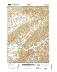 2014 Map of Nonpareil, 2014 Print