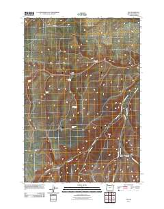 2011 Map of Nye, 2011 Print