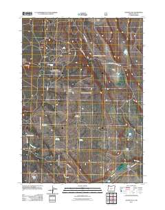 2011 Map of Oatman Flat, 2011 Print