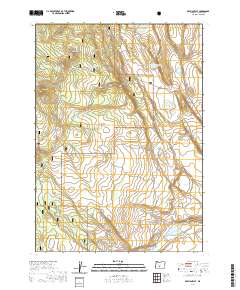 2020 Map of Oatman Flat, 2020 Print