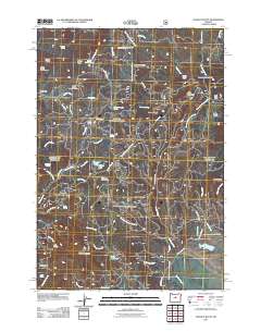 2011 Map of Ochoco Butte, 2011 Print