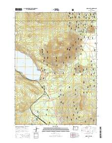 2014 Map of Odell Lake, 2014 Print