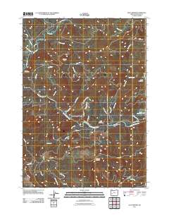 2011 Map of Old Fairview, 2011 Print