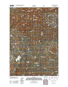 2011 Map of Olive Lake, 2011 Print