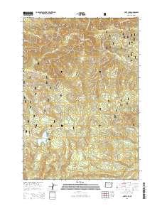 2014 Map of Olive Lake, 2014 Print