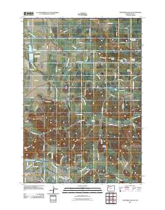 2011 Map of Onehorse Slough, 2011 Print