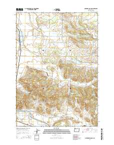 2014 Map of Onehorse Slough, 2014 Print