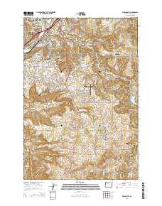 2014 Map of Oregon City, 2014 Print