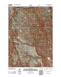 2011 Map of Otis Mountain, 2011 Print