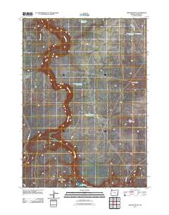 2011 Map of Owyhee Butte, 2011 Print