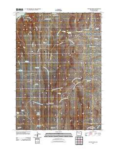 2011 Map of Owyhee Ridge, 2011 Print