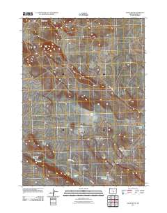 2011 Map of Paiute Butte, 2011 Print