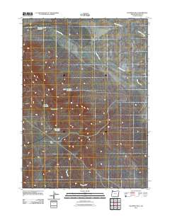 2011 Map of Palomino Hills, 2011 Print